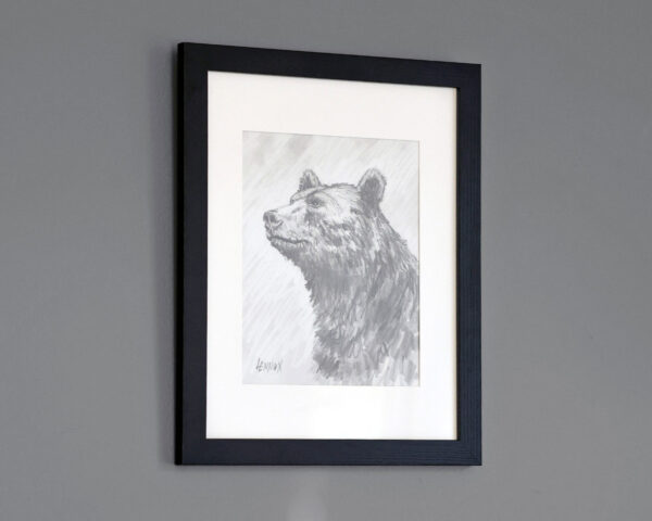 005-sir-bear-graphite-angle