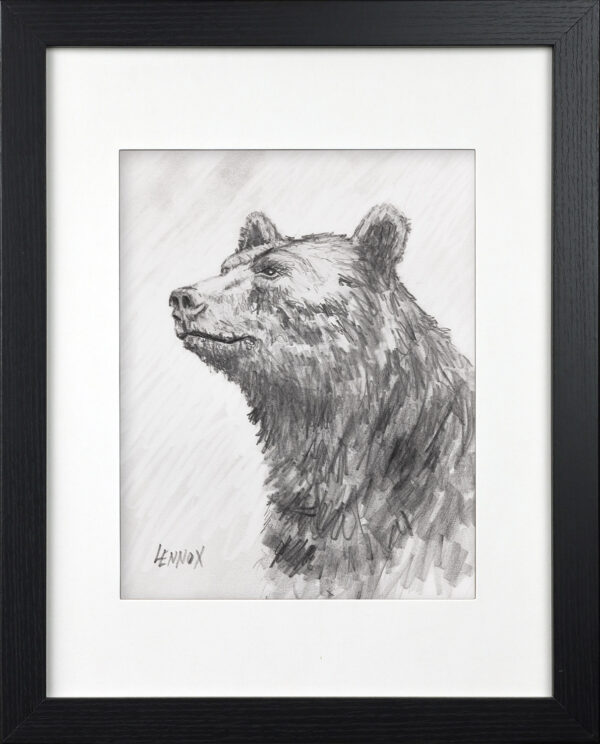 002-sir-bear-graphite-framed