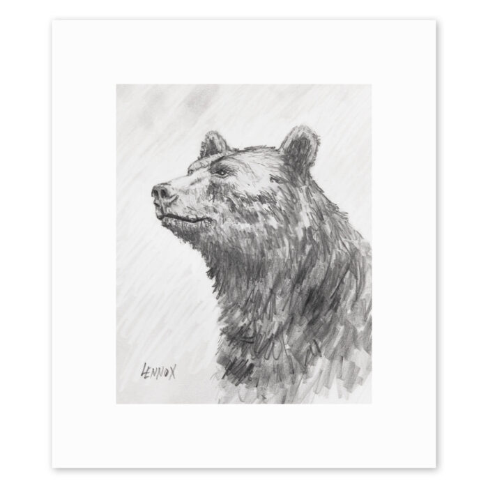 Sir Bear - Giclée Print
