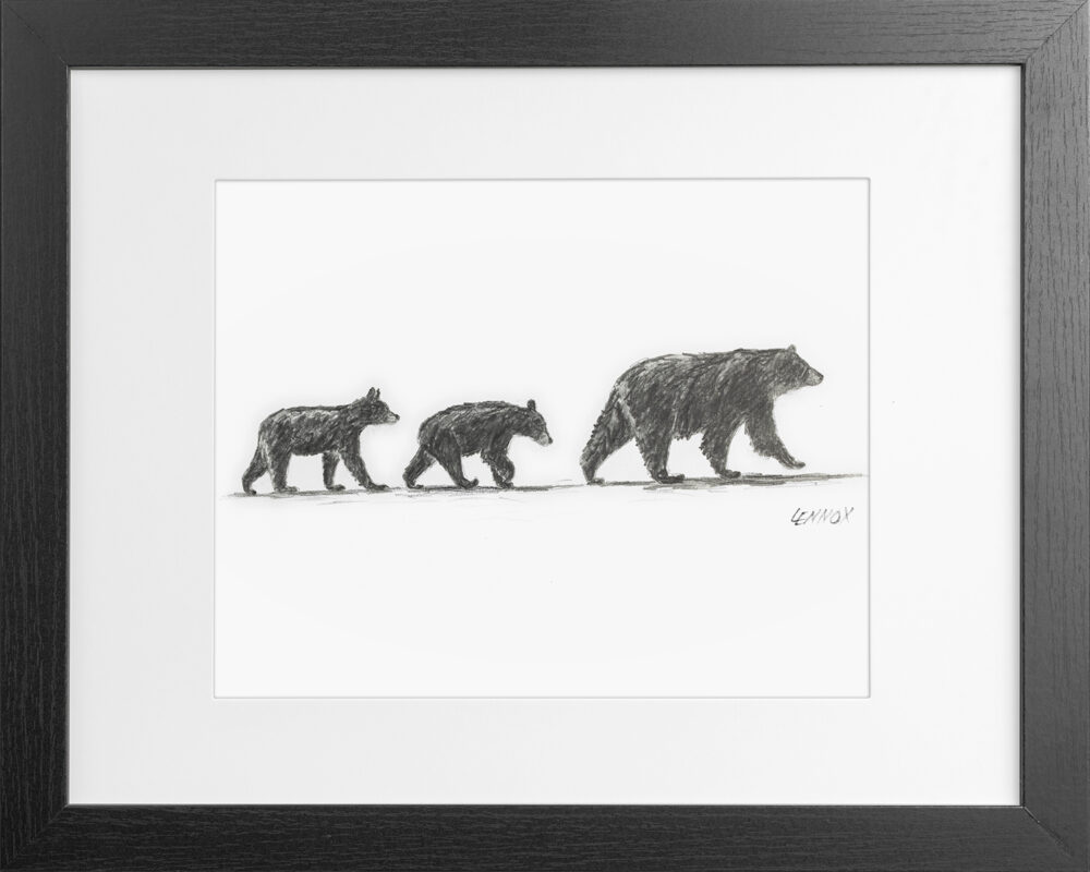 001-cades-cove-crossing-framed