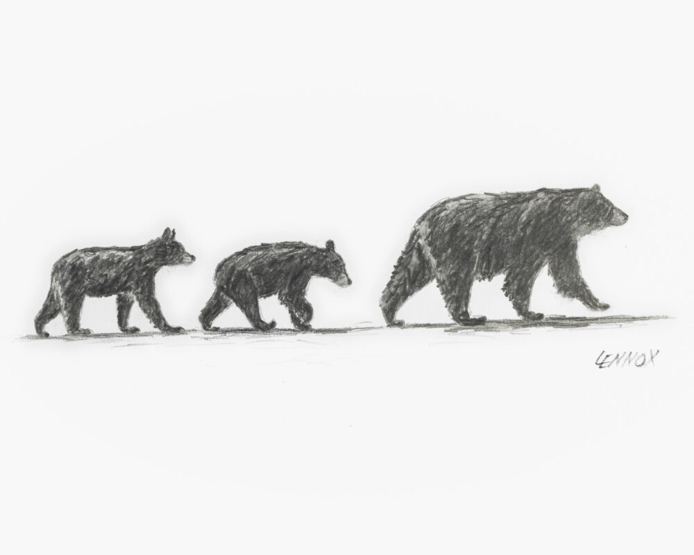 001-cades-cove-crossing-image
