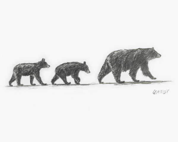 001-cades-cove-crossing-image