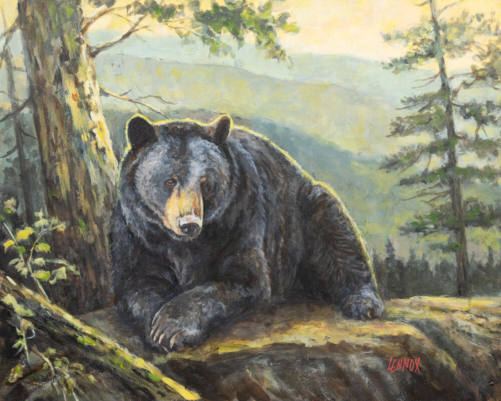 001-evening-rest-image