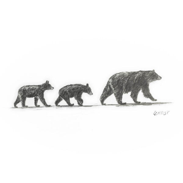 cades-cove-crossing-giclee3